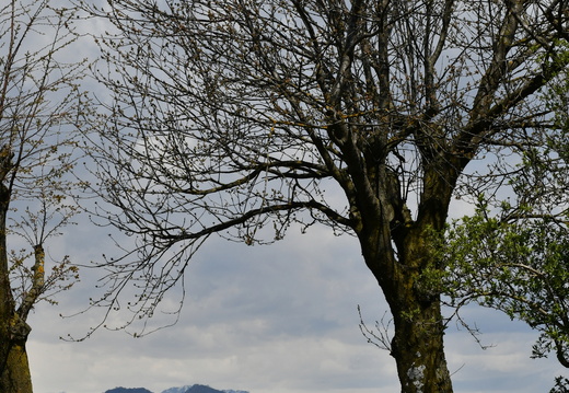 20-eremitica-0-DSC_3275.JPG
