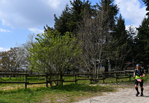 30-eremitica-DSC_3378 (3).JPG