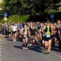 83-eremitica-72-102-92-5-1-27-61-155-154-84-82-95-153-23-122-13.JPG