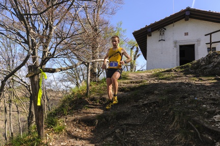 5-eremitica-_STE3996.jpg